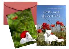 Kraft und Zuversicht