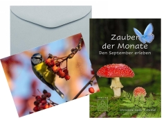 Zauber der Monate - Den September erleben