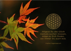 Herbstlaub