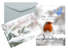 Zauber der Monate - Den Januar erleben