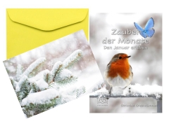 Zauber der Monate - Den Januar erleben